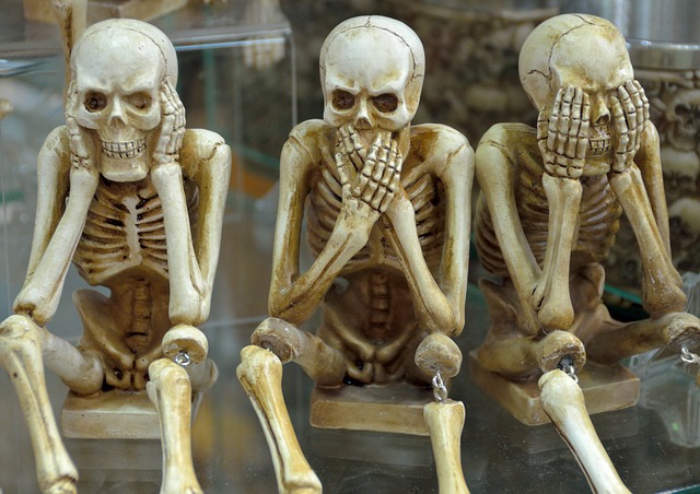 skeletons, funny, hear no evil