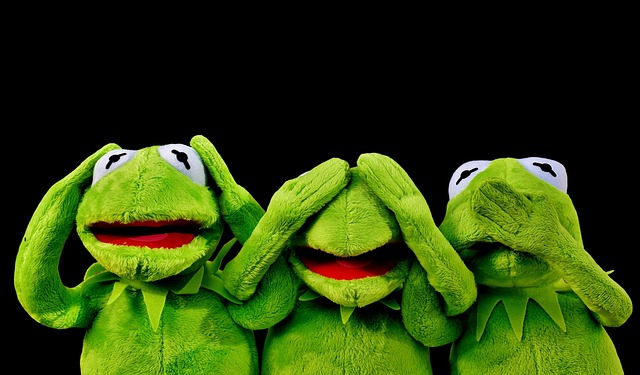 kermit, not hear, not see