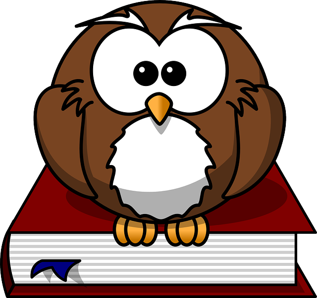 owl, bird, book