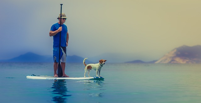 standup paddleboarding, man, dog