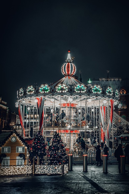 carousel, park, rides