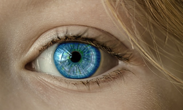 eye, blue eye, iris