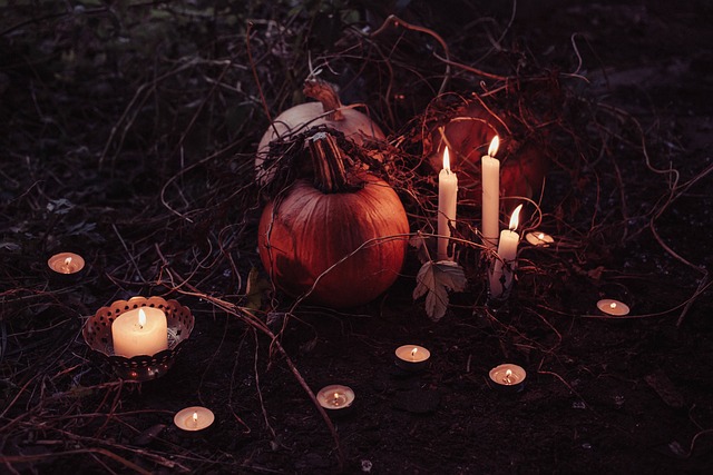 pumpkin, trick or treat, nature