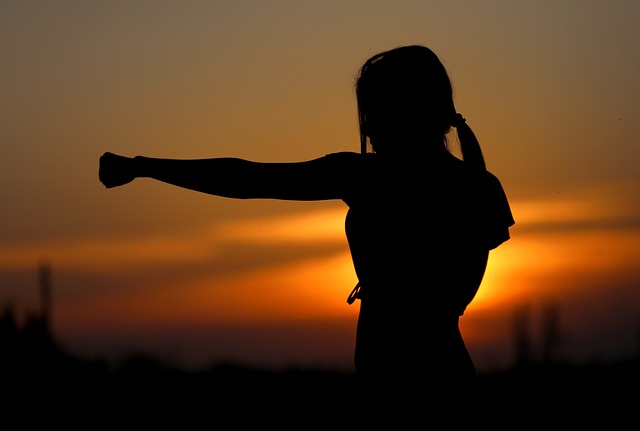 karate, sunset, fight